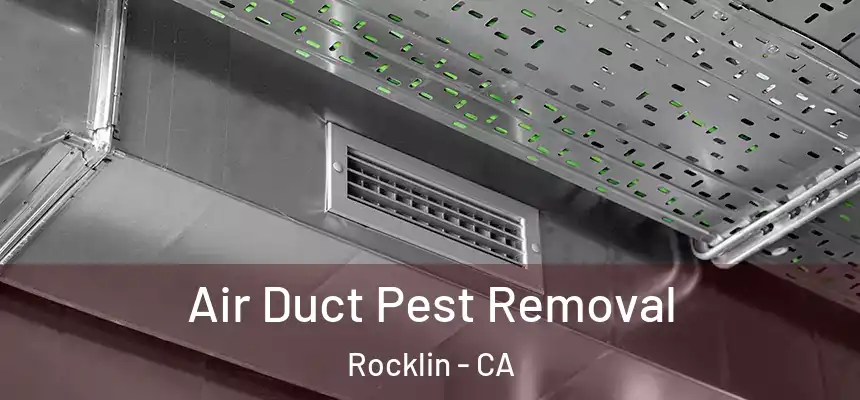 Air Duct Pest Removal Rocklin - CA