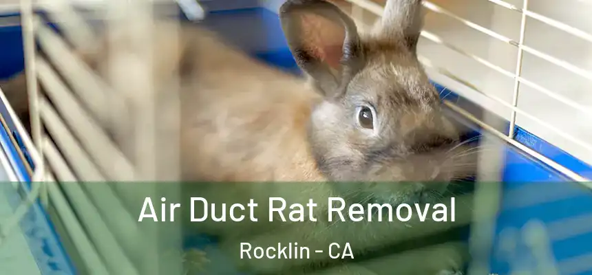  Air Duct Rat Removal Rocklin - CA