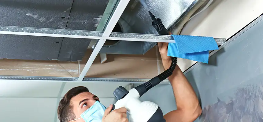 Our Air Duct Rodent Removal Services in Rocklin, CA