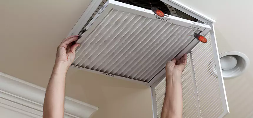 Our Insect Removal from Air Ducts Services in Rocklin, CA