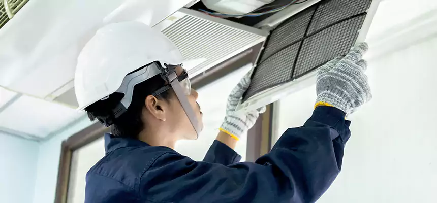 Our Mold & Mildew Removal from Air Ducts Services in Rocklin, CA