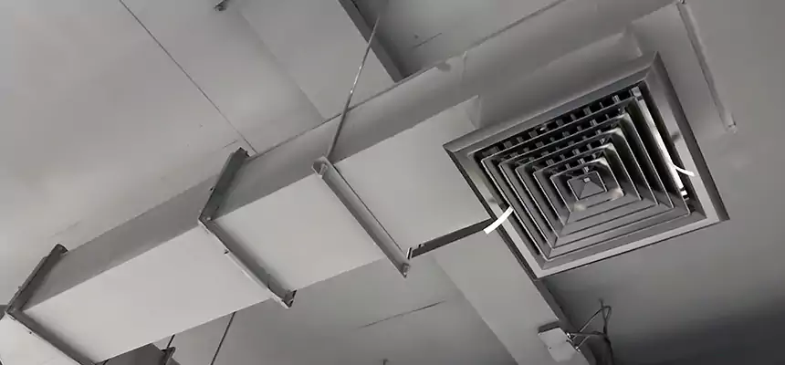 Our Rodent Droppings In Vents Services in Rocklin, CA