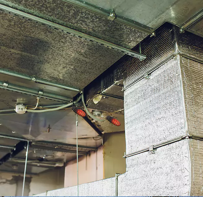 Why Homeowners & Businesses Trust Us in Rocklin, CA?