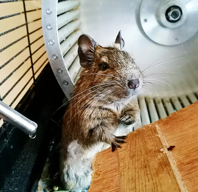 Why Homeowners & Businesses Trust Us Rocklin, CA?