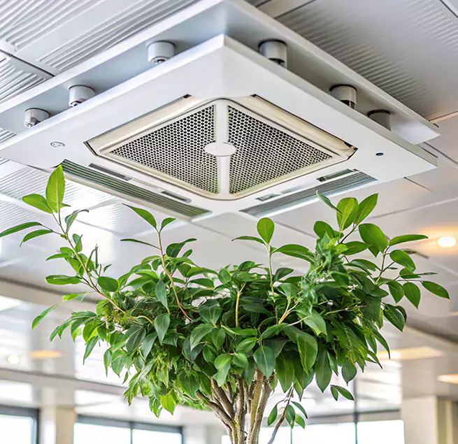 Why Homeowners & Businesses Trust Us in Rocklin, CA