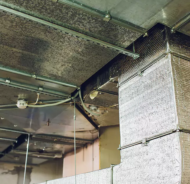 Why Homeowners & Businesses Trust Us in Rocklin, CA?